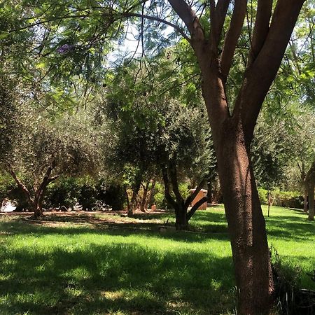 Palmeraie Village 2 - Cosi Appartement En Rez De Jardin Marrakesh Eksteriør bilde