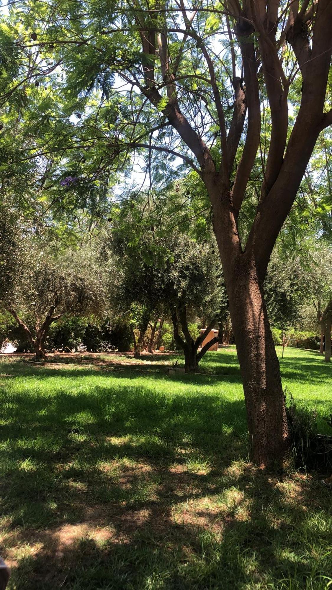 Palmeraie Village 2 - Cosi Appartement En Rez De Jardin Marrakesh Eksteriør bilde